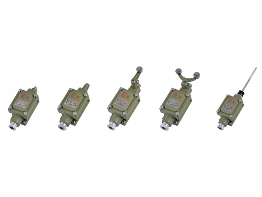 Good Wholesale Vendors Explosion Proof Boxes And Fittings - dLXK series Explosion-proof travel switch – Feice detail pictures